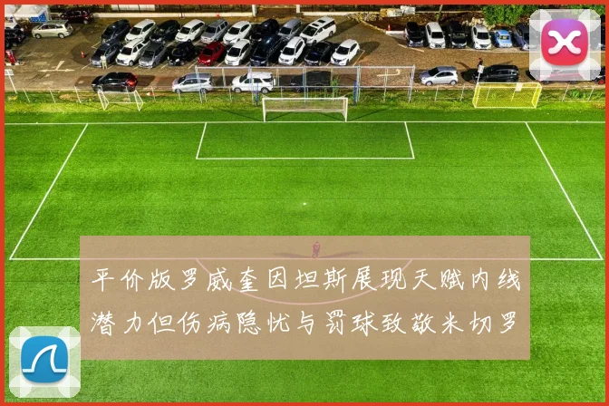 平价版罗威奎因坦斯展现天赋内线潜力但伤病隐忧与罚球致敬米切罗