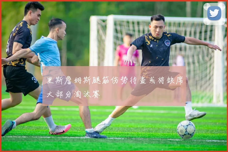 里斯詹姆斯腿筋伤势待查或将缺席大部分淘汰赛